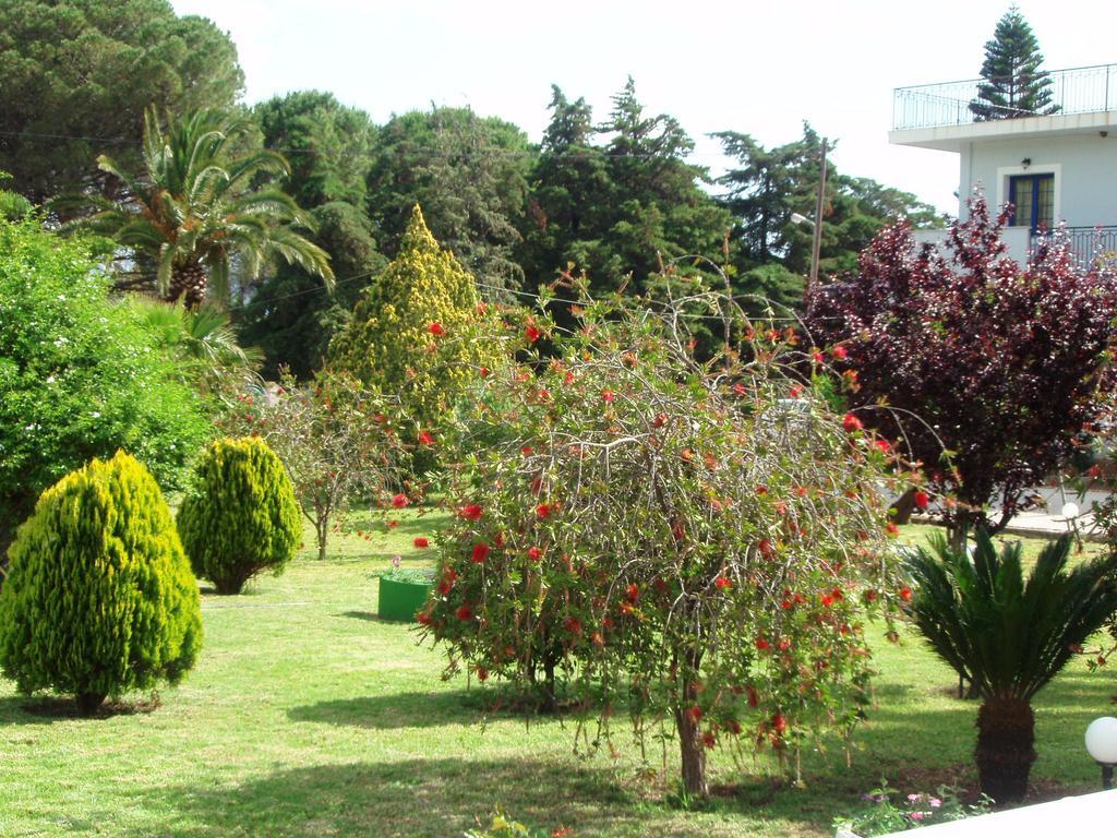 Finikes Studios Kefalonia Сами Экстерьер фото