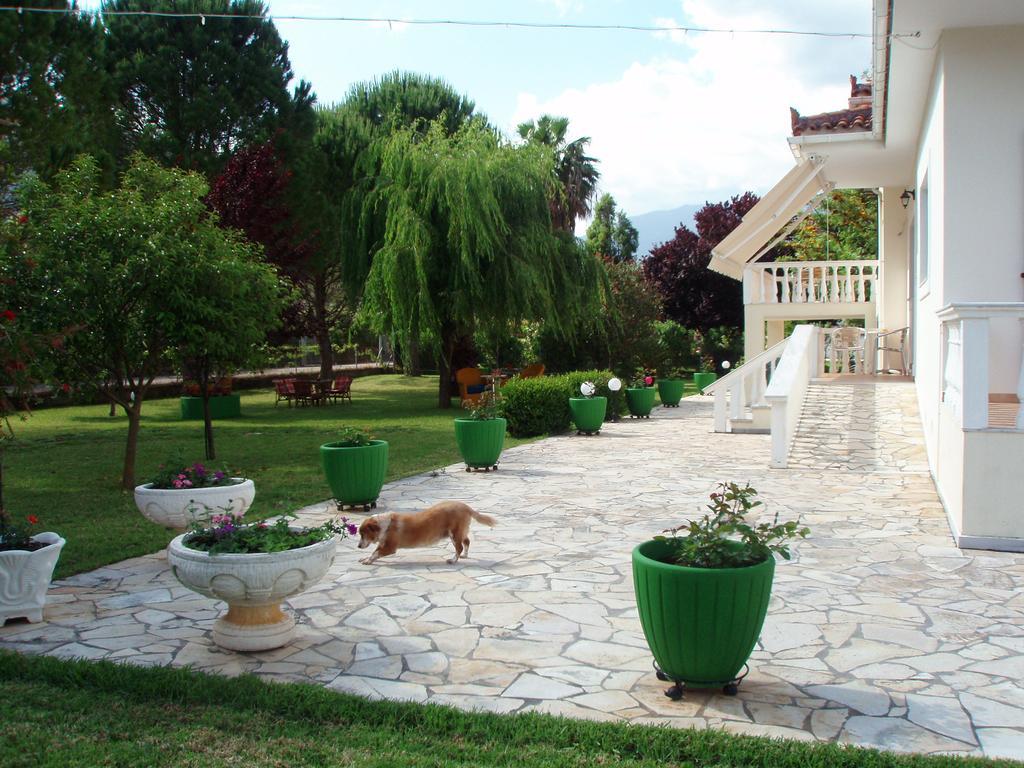 Finikes Studios Kefalonia Сами Экстерьер фото