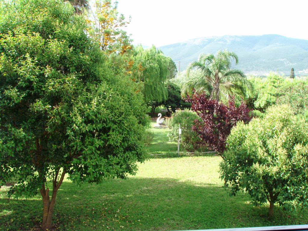 Finikes Studios Kefalonia Сами Экстерьер фото