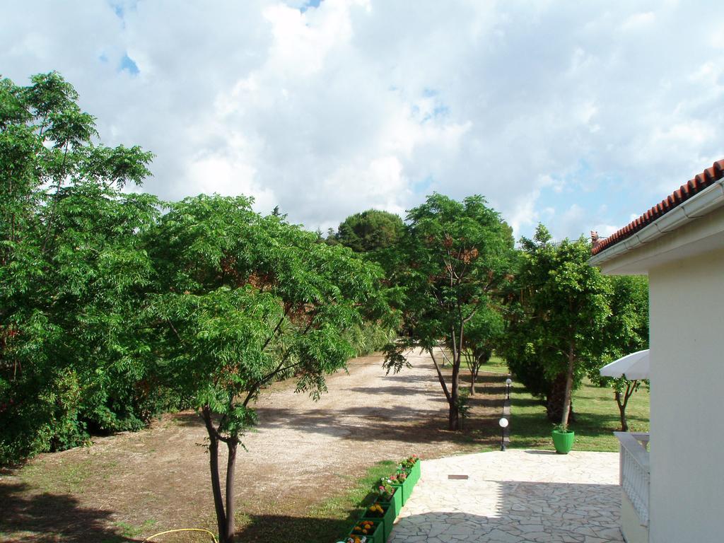 Finikes Studios Kefalonia Сами Экстерьер фото